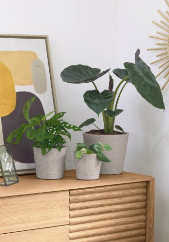 KAVE HOME Low krukke, rund - gr cement (st med 3)