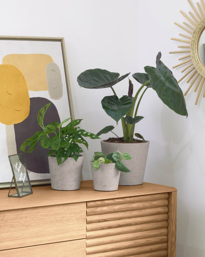 KAVE HOME Low krukke, rund - gr cement (st med 3)