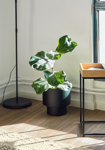 KAVE HOME Mash urtepotteskjuler - sort stl (28)