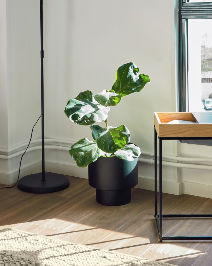 KAVE HOME Mash urtepotteskjuler - sort stl (28)