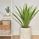 KAVE HOME Yucca kunstig plante, m. urtepotte - grn polyethylen og sort cement (H:80)