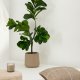KAVE HOME Ficus kunstig plante - grn polyethylen (H:150)