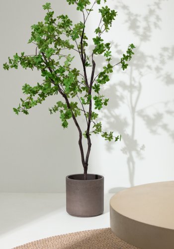 KAVE HOME Enkianthus kunstigt tr med sort potte 214 cm