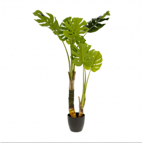 KAVE HOME Monstrea kunstig plante - 130 cm hj, PE, cement og skum 