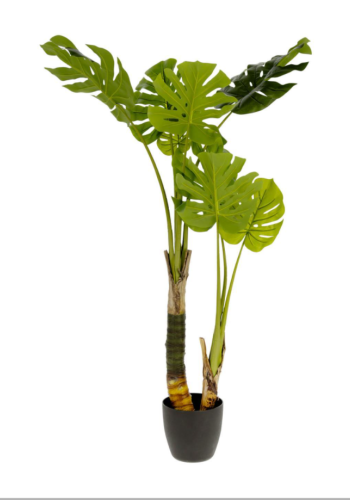 KAVE HOME Monstrea kunstig plante - 130 cm hj, PE, cement og skum 
