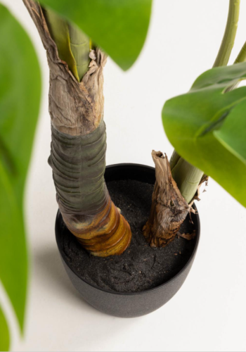 KAVE HOME Monstrea kunstig plante - 130 cm hj, PE, cement og skum 