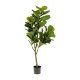 KAVE HOME Ficus kunstig plante - grn polyethylen (H:150)