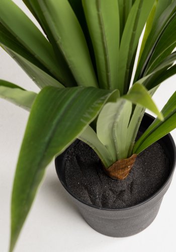 KAVE HOME Yucca kunstig plante, m. urtepotte - grn polyethylen og sort cement (H:80)