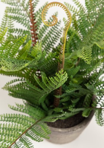 KAVE HOME Filicopsida kunstig plante - grn polyethylen og gr cement (H:35)