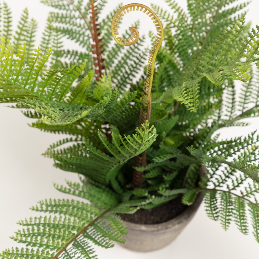 KAVE HOME Filicopsida kunstig plante - grn polyethylen og gr cement (H:35)