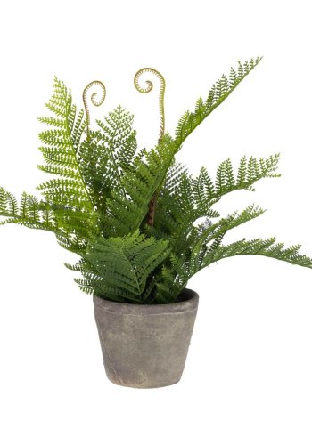 KAVE HOME Filicopsida kunstig plante - grn polyethylen og gr cement (H:35)