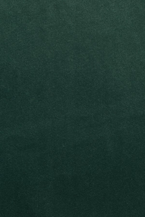 BOLD MONKEY The Winner Takes It All spisebordsstol - mrkegrn fljl og sort jern