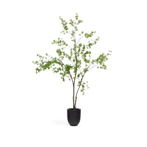 KAVE HOME Enkianthus kunstigt tr med sort potte 214 cm