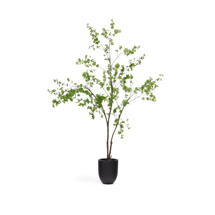 KAVE HOME Enkianthus kunstigt tr med sort potte 214 cm