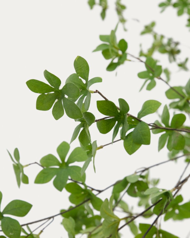 KAVE HOME Enkianthus kunstigt tr med sort potte 214 cm