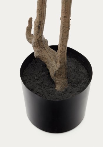 KAVE HOME Enkianthus kunstigt tr med sort potte 214 cm