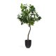 KAVE HOME Kunstig Ficus tr i sort potte 210 cm