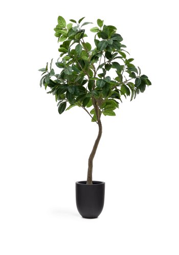 KAVE HOME Kunstig Ficus tr i sort potte 210 cm