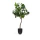 KAVE HOME Kunstig Ficus tr i sort potte 210 cm