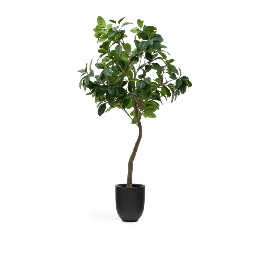 KAVE HOME Kunstig Ficus tr i sort potte 210 cm