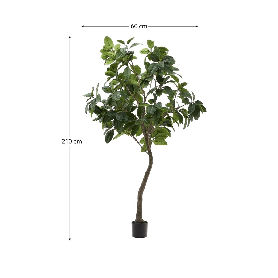 KAVE HOME Kunstig Ficus tr i sort potte 210 cm