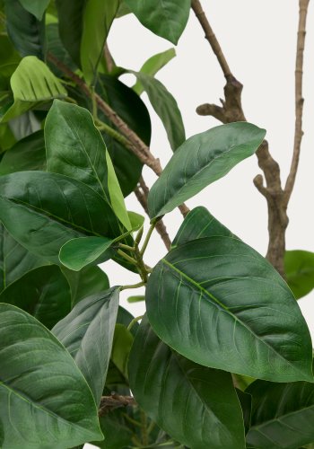 KAVE HOME Kunstig Ficus tr i sort potte 210 cm