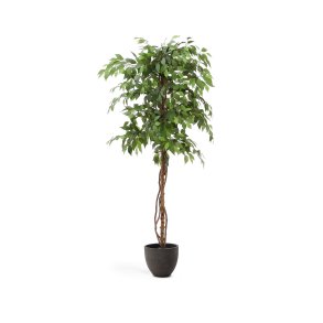 KAVE HOME Kunstig Ficus tr i sort potte 180 cm
