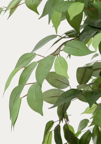 KAVE HOME Kunstig Ficus tr i sort potte 180 cm