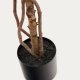 KAVE HOME Kunstig Ficus tr i sort potte 180 cm