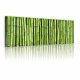 ARTGEIST Bamboo wall billede - grn canvas print (40x120)