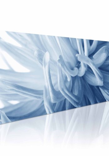 ARTGEIST Flover petals billede - bl/hvid canvas print (40x120)