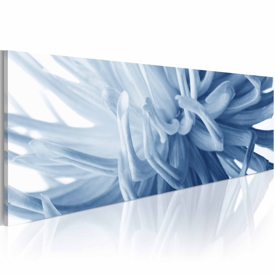 ARTGEIST Flover petals billede - bl/hvid canvas print (40x120)