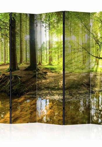 ARTGEIST Forest Lake II rumdeler - multifarvet print (172x225)