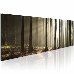 ARTGEIST Morning in the woods billede - multifarvet canvas print (40x120)