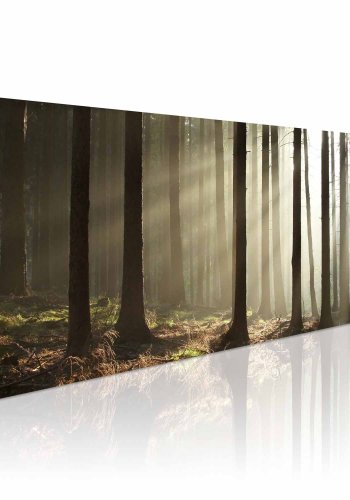 ARTGEIST Morning in the woods billede - multifarvet canvas print (40x120)