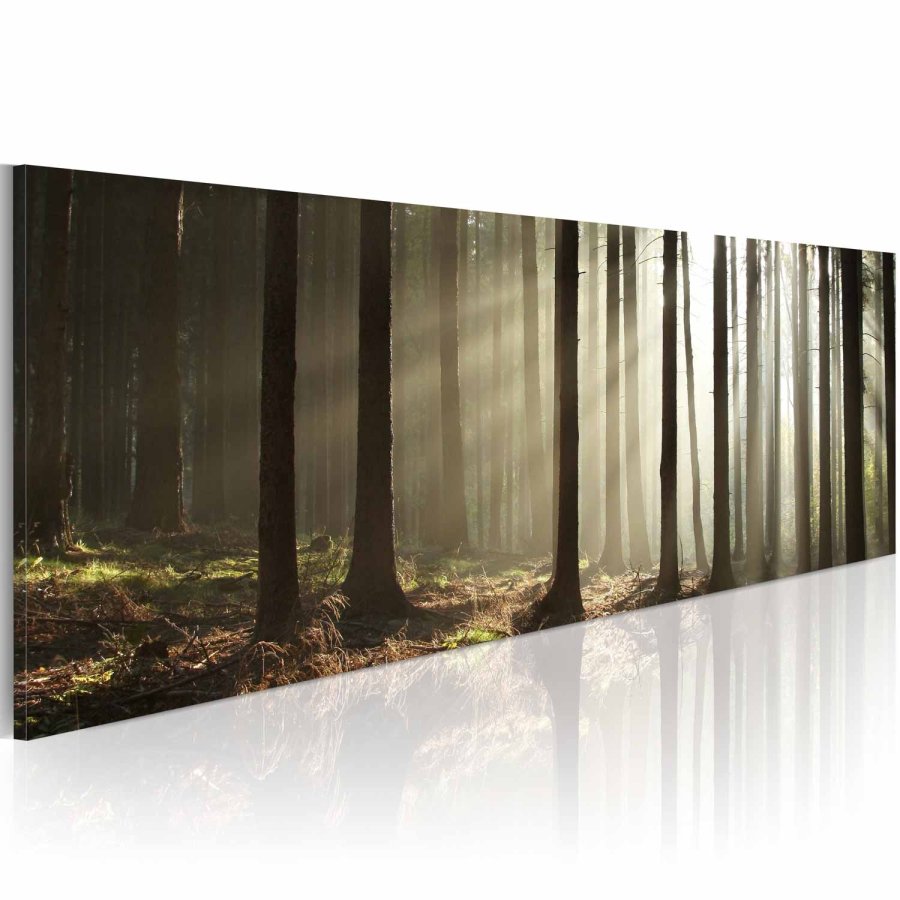 ARTGEIST Morning in the woods billede - multifarvet canvas print (40x120)