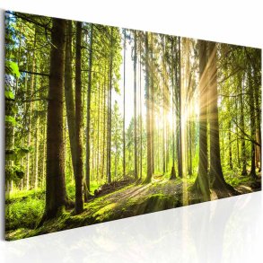 ARTGEIST Daylight billede - multifarvet print (40x120)