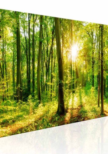 ARTGEIST Green Magic billede - multifarvet print (50x150)