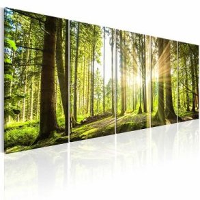 Billeder - Natur