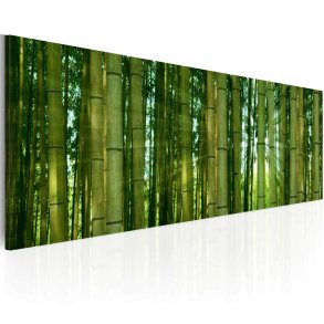 ARTGEIST Bamboo in the sunshine billede - grn canvas print (40x120)