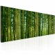 ARTGEIST Bamboo in the sunshine billede - grn canvas print (40x120)