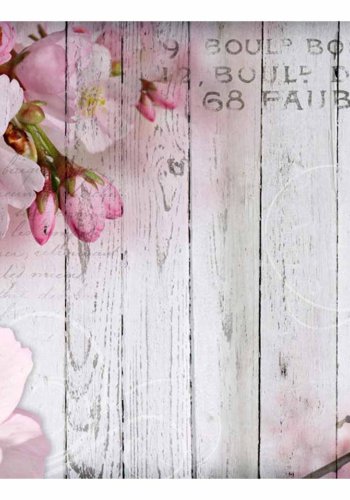 ARTGEIST Apple Blossoms fototapet - multifarvet print (105x150)