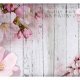 ARTGEIST Apple Blossoms fototapet - multifarvet print (105x150)