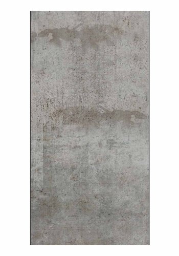 ARTGEIST Gray pigeon fototapet - gr print (1000x50)