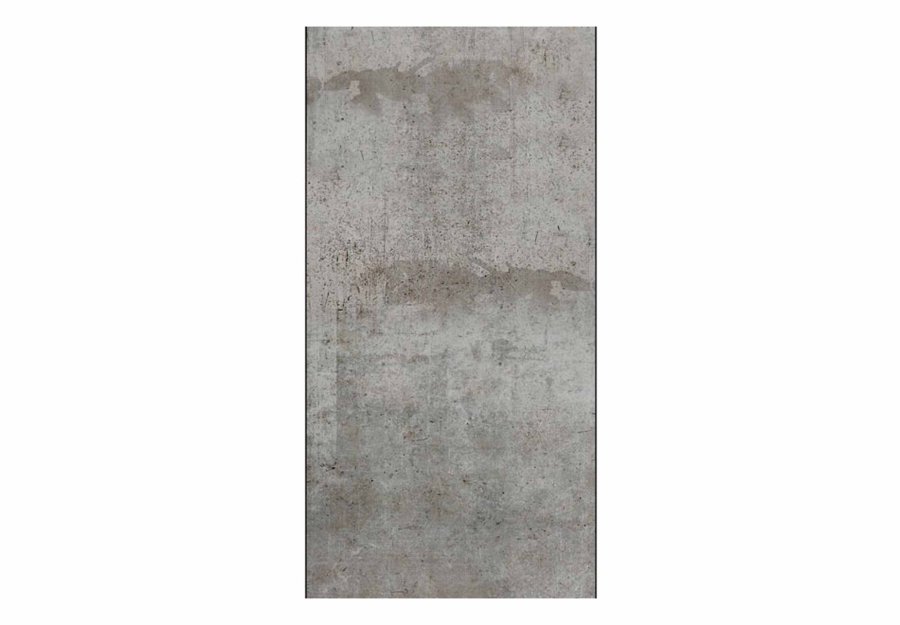 ARTGEIST Gray pigeon fototapet - gr print (1000x50)