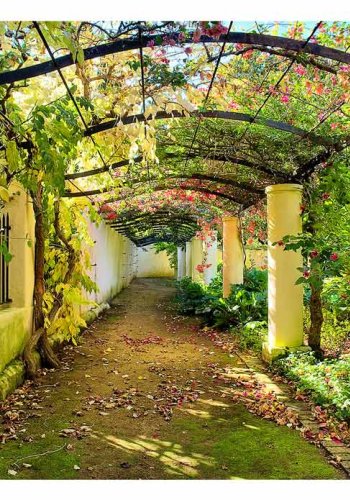 ARTGEIST Pergola fototapet - multifarvet print (105x150)