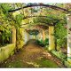 ARTGEIST Pergola fototapet - multifarvet print (105x150)