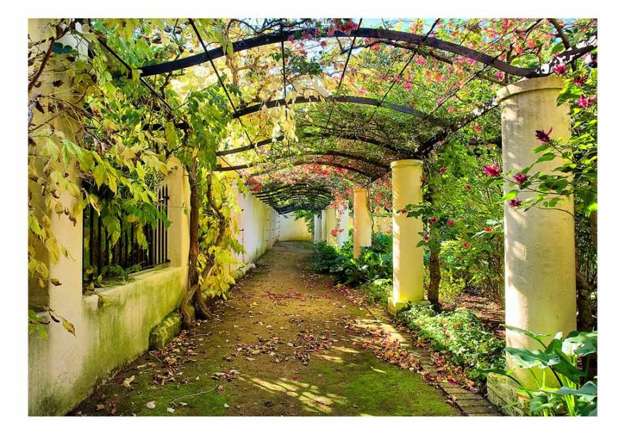 ARTGEIST Pergola fototapet - multifarvet print (105x150)