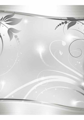 ARTGEIST Silver Abstract fototapet - slv/hvid/gr print (105x150)