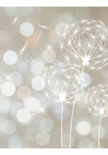 ARTGEIST The Ballad of Beauty fototapet - multifarvet print (105x150)